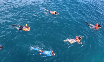 3 Razones por las que deberías tomar un tour de snorkel en Los Cabos
