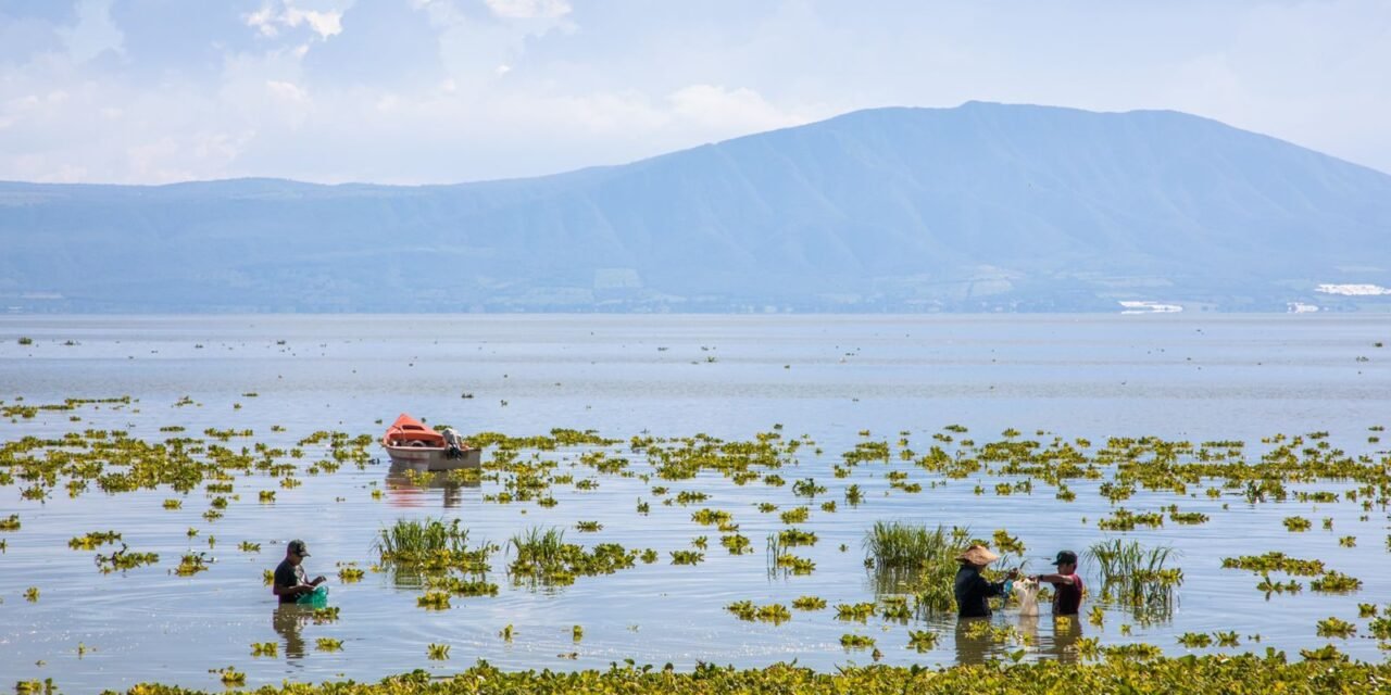 Tour Ajijic – Chapala; Visitando el lago más grande de México