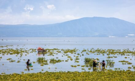 Tour Ajijic – Chapala; Visitando el lago más grande de México