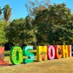 Los Mochis, Sinaloa: Entre palmas y caña, un lugar inolvidable