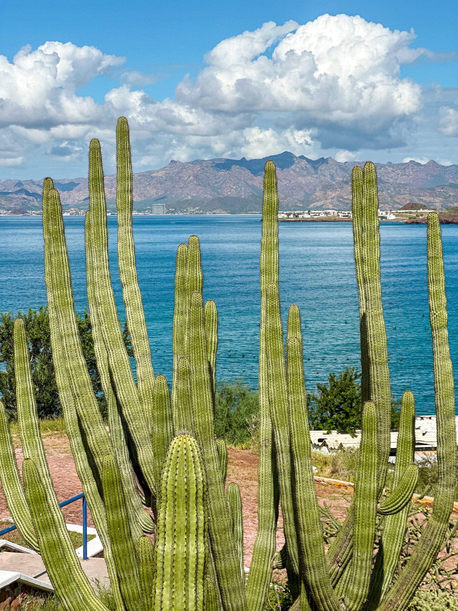Guaymas-sonora-8