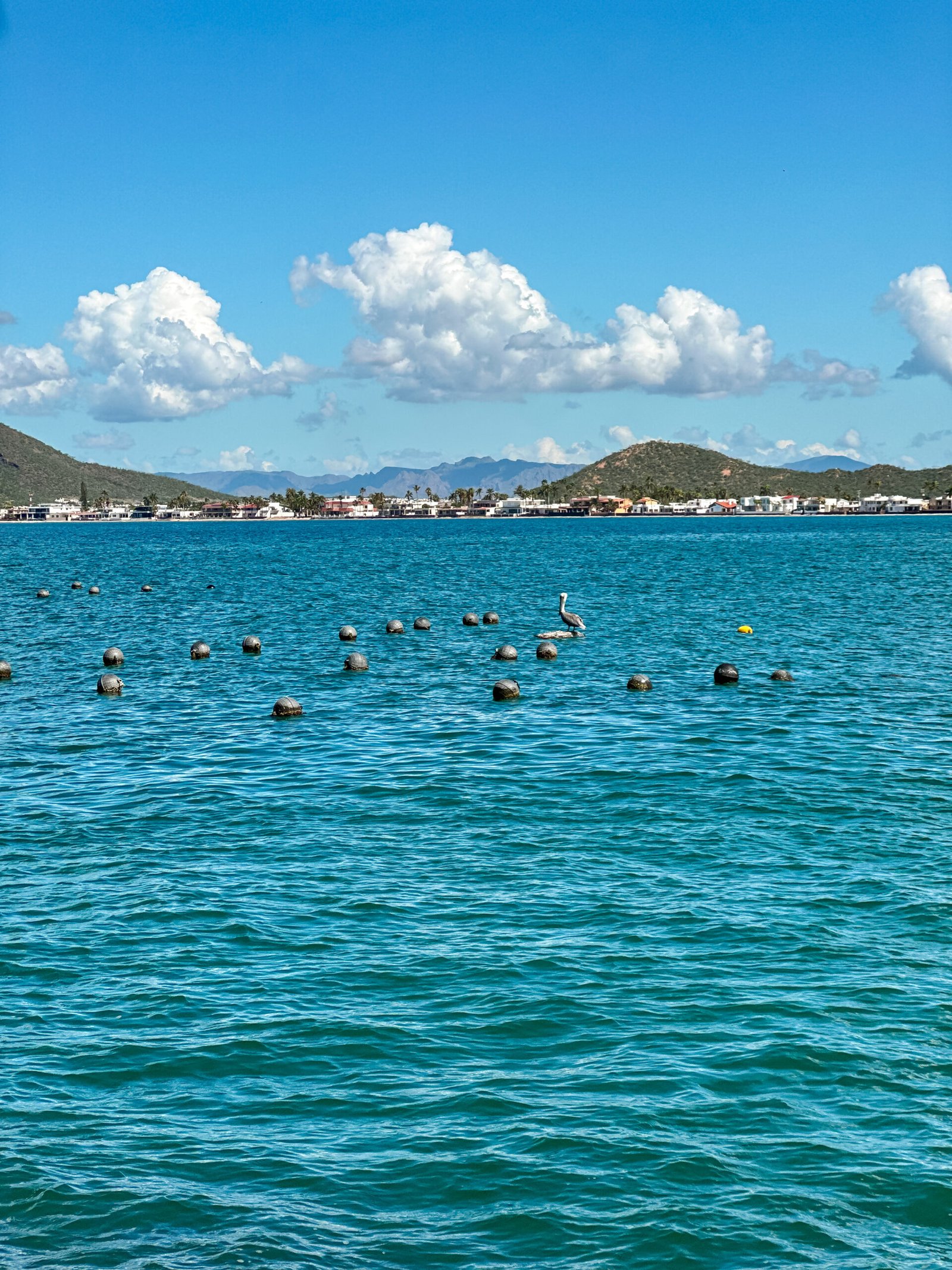 Guaymas-sonora-9